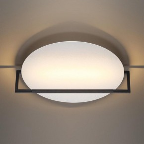 Накладной светильник Odeon Light Next 7015/20WL в Челябинске - cheliabinsk.ok-mebel.com | фото 2