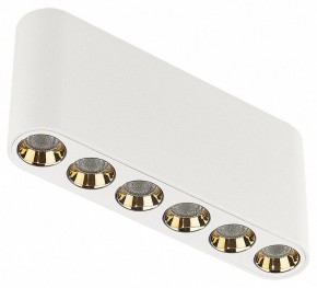 Накладной светильник Odeon Light Small 7091/15CL в Челябинске - cheliabinsk.ok-mebel.com | фото