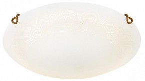 Накладной светильник Sonex Ammonite 7602/DL в Челябинске - cheliabinsk.ok-mebel.com | фото 3