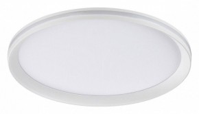 Накладной светильник Sonex Beta 7749/60L в Челябинске - cheliabinsk.ok-mebel.com | фото