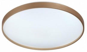 Накладной светильник Sonex Gaby 7783/EL в Челябинске - cheliabinsk.ok-mebel.com | фото 4