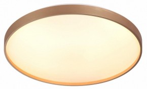Накладной светильник Sonex Gaby 7783/EL в Челябинске - cheliabinsk.ok-mebel.com | фото 5