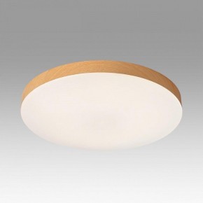 Накладной светильник Sonex Gamma 7761/24L в Челябинске - cheliabinsk.ok-mebel.com | фото 3