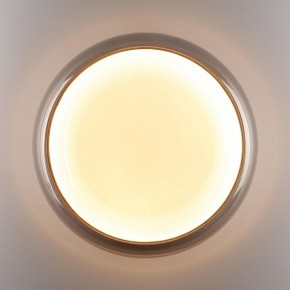 Накладной светильник Sonex PORTMAN 7777/DLN в Челябинске - cheliabinsk.ok-mebel.com | фото 6