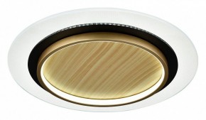 Накладной светильник Sonex Sunny 7731/80L в Челябинске - cheliabinsk.ok-mebel.com | фото