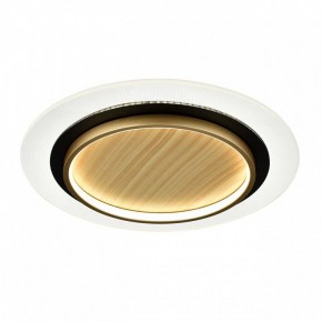 Накладной светильник Sonex Sunny 7731/80L в Челябинске - cheliabinsk.ok-mebel.com | фото 4