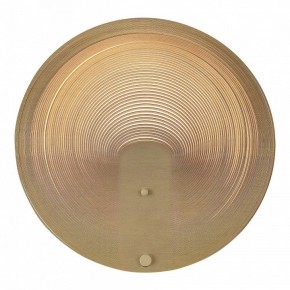 Накладной светильник ST-Luce Fossil SL6900.501.16 в Челябинске - cheliabinsk.ok-mebel.com | фото 2