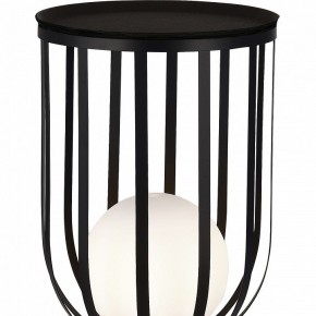 Настольная лампа декоративная ST-Luce Nordic SL6129.404.01 в Челябинске - cheliabinsk.ok-mebel.com | фото 5