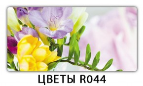 Обеденный раздвижной стол Бриз с фотопечатью Цветы R044 в Челябинске - cheliabinsk.ok-mebel.com | фото 11