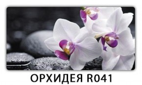 Обеденный стол Паук с фотопечатью узор Цветы R044 в Челябинске - cheliabinsk.ok-mebel.com | фото 21