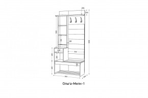 ОЛЬГА-МИЛК Прихожая (модульная) в Челябинске - cheliabinsk.ok-mebel.com | фото 2