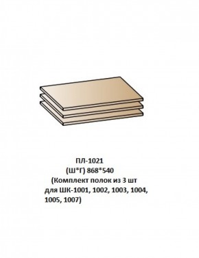 ПЛ-1021 (Комплект полок из 3 шт для ШК-1001, 1002, 1003, 1004, 1005, 1007) в Челябинске - cheliabinsk.ok-mebel.com | фото