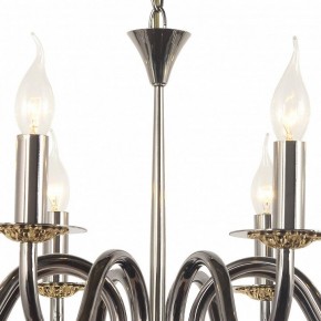Подвесная люстра Arti Lampadari Pontone Pontone E 1.1.8 PB в Челябинске - cheliabinsk.ok-mebel.com | фото 3