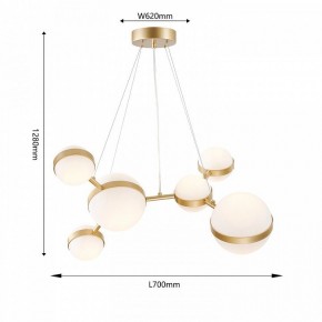 Подвесная люстра Favourite Asterismo 4448-6P в Челябинске - cheliabinsk.ok-mebel.com | фото 5