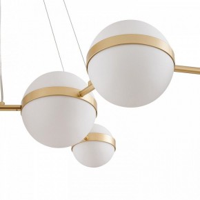 Подвесная люстра Favourite Asterismo 4448-8P в Челябинске - cheliabinsk.ok-mebel.com | фото 5