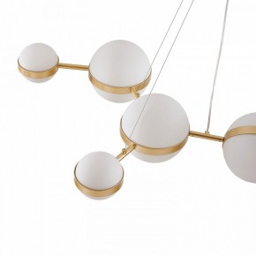 Подвесная люстра Favourite Asterismo 4448-8P в Челябинске - cheliabinsk.ok-mebel.com | фото 7