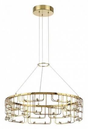 Подвесная люстра Odeon Light ZAHA 7060/44L в Челябинске - cheliabinsk.ok-mebel.com | фото 2