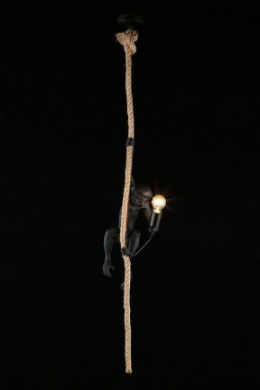 Подвесной светильник Aployt Magali APL.309.16.01 в Челябинске - cheliabinsk.ok-mebel.com | фото 3