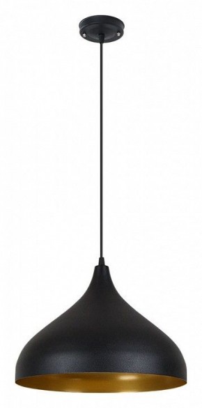 Подвесной светильник Arte Lamp Carmel A7076SP-1BK в Челябинске - cheliabinsk.ok-mebel.com | фото 2