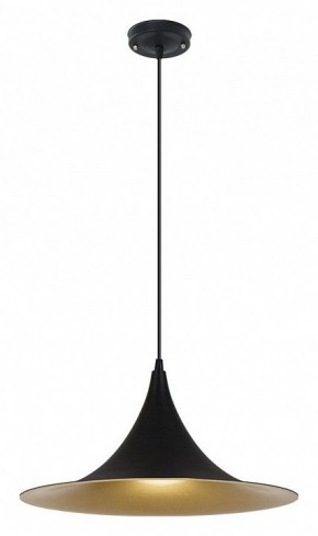 Подвесной светильник Arte Lamp Carmel A7080SP-1BK в Челябинске - cheliabinsk.ok-mebel.com | фото 2