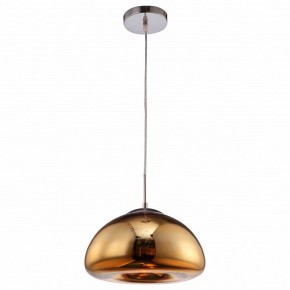 Подвесной светильник Arte Lamp Swift A8041SP-1GO в Челябинске - cheliabinsk.ok-mebel.com | фото 2