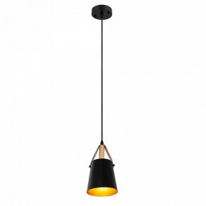 Подвесной светильник Arte Lamp Thomas A7032SP-1BK в Челябинске - cheliabinsk.ok-mebel.com | фото 3