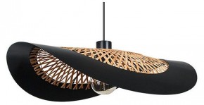 Подвесной светильник Arte Lamp Woodstock A7059SP-1BK в Челябинске - cheliabinsk.ok-mebel.com | фото