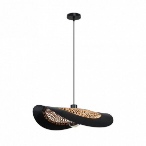 Подвесной светильник Arte Lamp Woodstock A7059SP-1BK в Челябинске - cheliabinsk.ok-mebel.com | фото 2