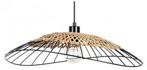Подвесной светильник Arte Lamp Woodstock A7061SP-1BK в Челябинске - cheliabinsk.ok-mebel.com | фото