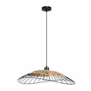 Подвесной светильник Arte Lamp Woodstock A7061SP-1BK в Челябинске - cheliabinsk.ok-mebel.com | фото 2