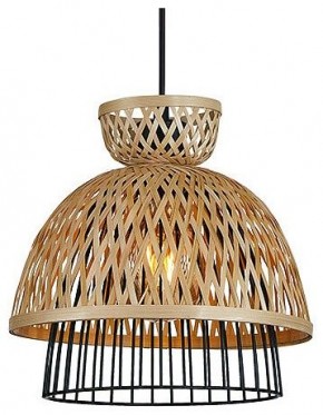 Подвесной светильник Arte Lamp Woodstock A7070SP-1BK в Челябинске - cheliabinsk.ok-mebel.com | фото 2