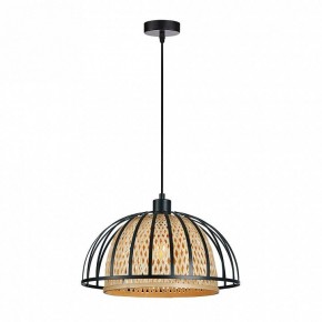 Подвесной светильник Arte Lamp Woodstock A7071SP-1BK в Челябинске - cheliabinsk.ok-mebel.com | фото