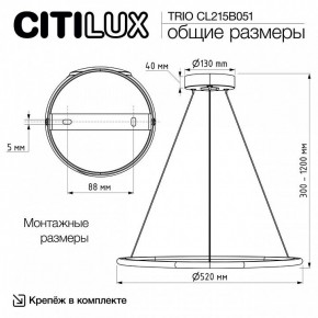 Подвесной светильник Citilux Trio CL215B051 в Челябинске - cheliabinsk.ok-mebel.com | фото 8