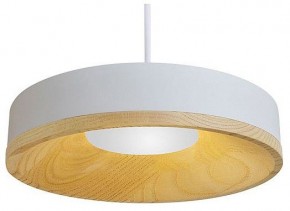 Подвесной светильник Divinare Vaso 5119/33 SP-12 в Челябинске - cheliabinsk.ok-mebel.com | фото