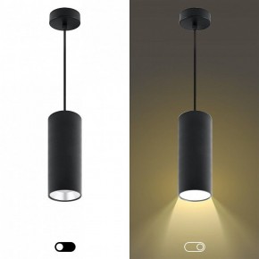 Подвесной светильник Эра  PL12 GX53 BK/SL в Челябинске - cheliabinsk.ok-mebel.com | фото 5
