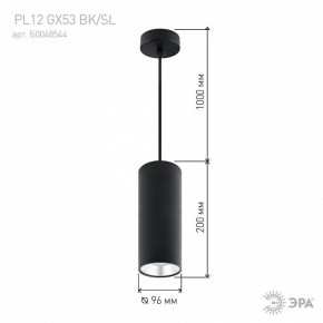 Подвесной светильник Эра  PL12 GX53 BK/SL в Челябинске - cheliabinsk.ok-mebel.com | фото 8