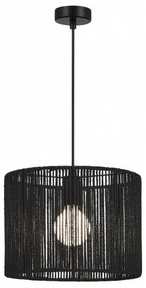 Подвесной светильник EVOLUCE ETTAN SLE6024-403-01 в Челябинске - cheliabinsk.ok-mebel.com | фото 2