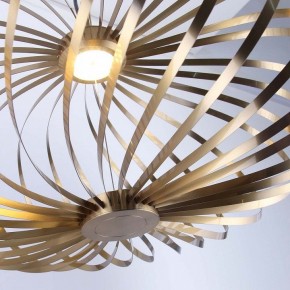 Подвесной светильник Favourite Spring 4680-1P в Челябинске - cheliabinsk.ok-mebel.com | фото 5