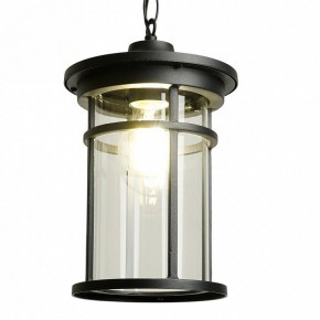 Подвесной светильник Feron PL765 51819 в Челябинске - cheliabinsk.ok-mebel.com | фото 3