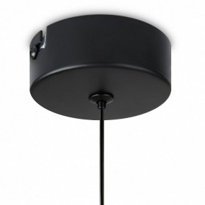 Подвесной светильник Freya Idol FR6134PL-L4SM в Челябинске - cheliabinsk.ok-mebel.com | фото 8
