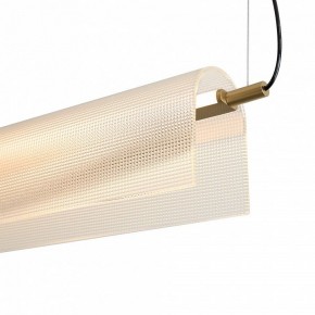Подвесной светильник Freya Loyd FR5556PL-L22BBS в Челябинске - cheliabinsk.ok-mebel.com | фото 11