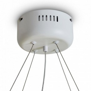 Подвесной светильник Freya Rain FR5546PL-L60W в Челябинске - cheliabinsk.ok-mebel.com | фото 9