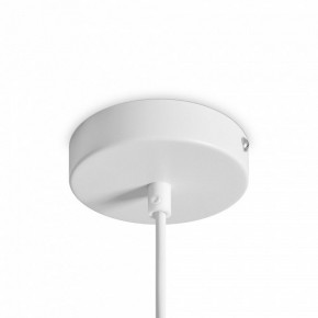 Подвесной светильник Freya Shapes FR5530PL-L10W в Челябинске - cheliabinsk.ok-mebel.com | фото 5