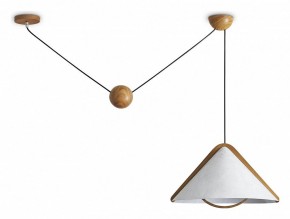 Подвесной светильник Freya Umbra FR5554CL-01T в Челябинске - cheliabinsk.ok-mebel.com | фото