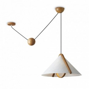 Подвесной светильник Freya Umbra FR5554CL-01T в Челябинске - cheliabinsk.ok-mebel.com | фото 2