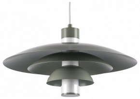 Подвесной светильник Lightstar Erbareo 799019 в Челябинске - cheliabinsk.ok-mebel.com | фото