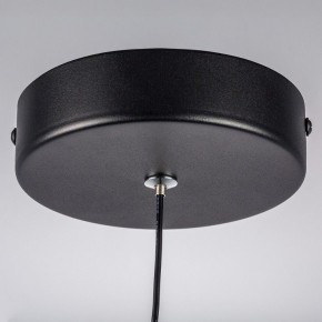 Подвесной светильник Lightstar Saturno 749017 в Челябинске - cheliabinsk.ok-mebel.com | фото 12