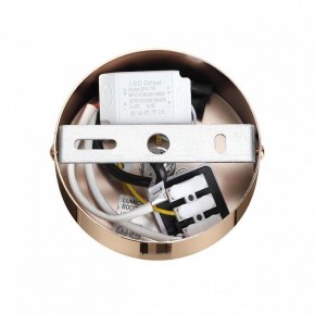 Подвесной светильник Lumion Cristie 8009/6L в Челябинске - cheliabinsk.ok-mebel.com | фото 6
