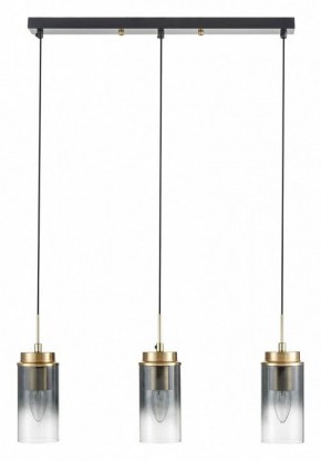 Подвесной светильник Lumion Isha 8101/3A в Челябинске - cheliabinsk.ok-mebel.com | фото 6