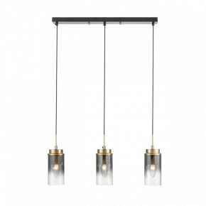 Подвесной светильник Lumion Isha 8101/3A в Челябинске - cheliabinsk.ok-mebel.com | фото 7